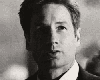 Mulder x Scully *anim.*