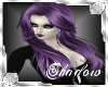 {SP}Ctarina-Lilac