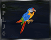 Parrot  -Animated