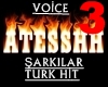 ATE- TURKCE VOICE-3