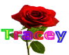 Tracey Name