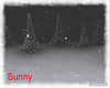 *SW* Winter Scene