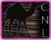 [CNL]Magi & camel