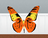 {KC}orange/blk butterfly
