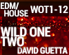 David Guetta Wild One