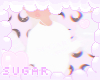 sugar university ♡
