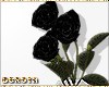 ♚ Black roses