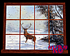 ~KB~ Snow Window 2