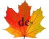 dc ~ Maple Leaf Necklace
