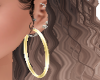 Gold Animated Hoops