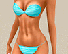 Teal & Turquoise Bikini