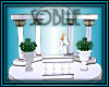 *SB* Wedding Arch