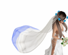 blue dip wedding veil