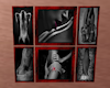 Picture+SexyLadys