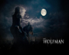 Wolfman Backdrop room