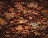 Rustic Fall Leaves