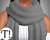 T! Winter Grey Scarf