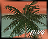 Palm Tree / Lights