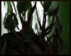 Dark Forest Branch Thing