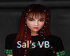 Sal's VB