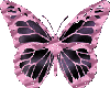 animated butterfly 6