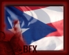 BFX PDB Puerto Rico
