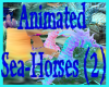 [CD]2Animated Sea-Horses