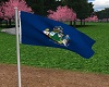 Maine State Flag