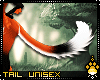 !F:Foxy: Tail 4