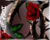 IO-Rose Vine Thorns-R