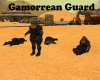 Gamorrean Guard