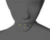 DRV. Snake/Labret M