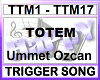 TOTEM