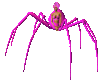 SM Pink Spider