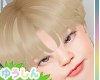 Haruto Blonde
