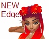 NEW Edges *BUR*