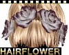 Hair Roses