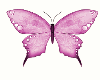 animated_butterfly{MA}