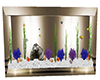 Elegant Aquarium