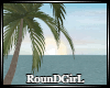 👑𝐑 Room #6