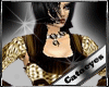{CT}Catty brown bm dress
