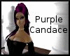 DDA's Purple Candace