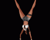 Q Gymnastics