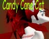 Candy Cane Cat leg (M)