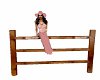 Western Wood fence