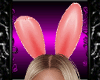 *D*Play*B* Bunny Pink