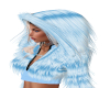 Ice Kitten Blue Hood