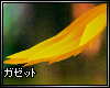 |G| Autumn Leafeon Tail