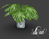 Tropic Potted Plant