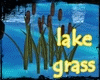 [cy] LAKE GRASS 1